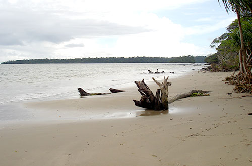 Wandoor Beach